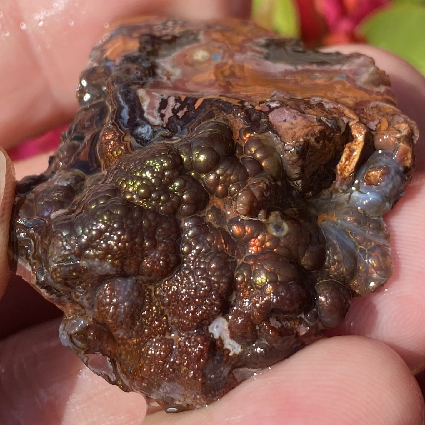 Close-up of a textured fire agate rough gemstone from Calvillo Aguascalientes Mexico held between fingers