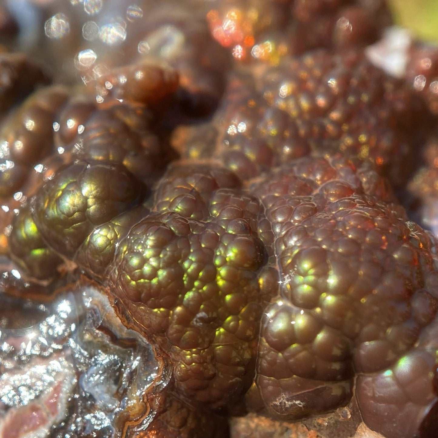 Close-up of an Aguascalientes Mexican fire agate rough gemstone with a bright green surface