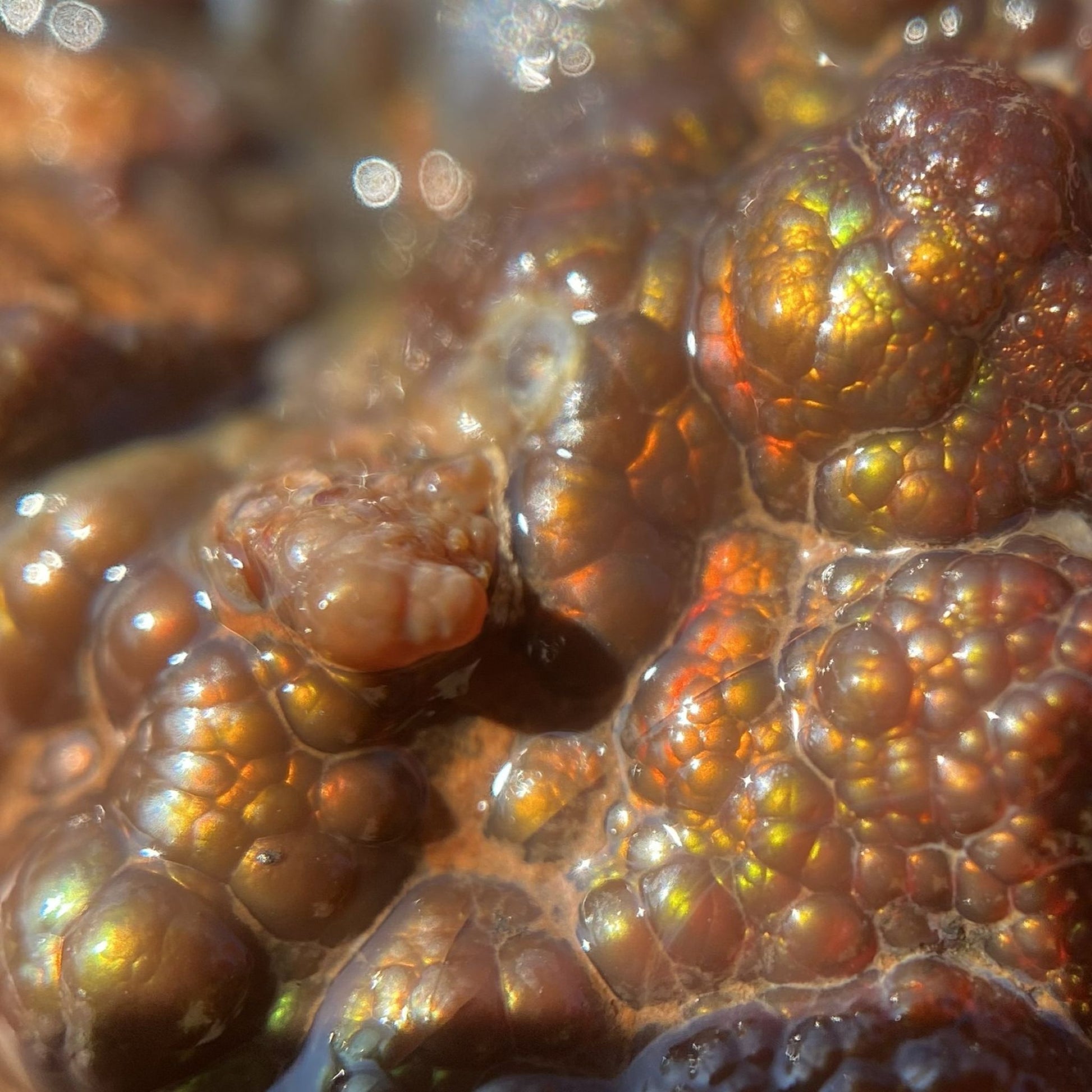Close-up of a textured Mexican fire agate with orange fiery bubbles