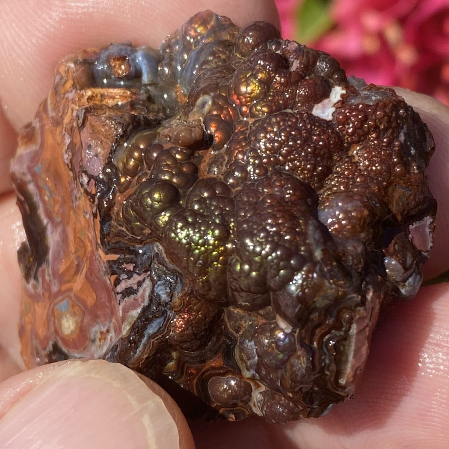 Close-up of a rough, metallic brown rock held between fingers with a blurred pink flower in the background.
