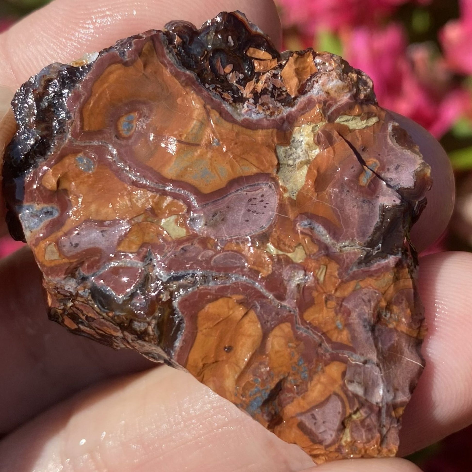 Close-up of a colorful, patterned rock held between fingers with a blurred pink floral background