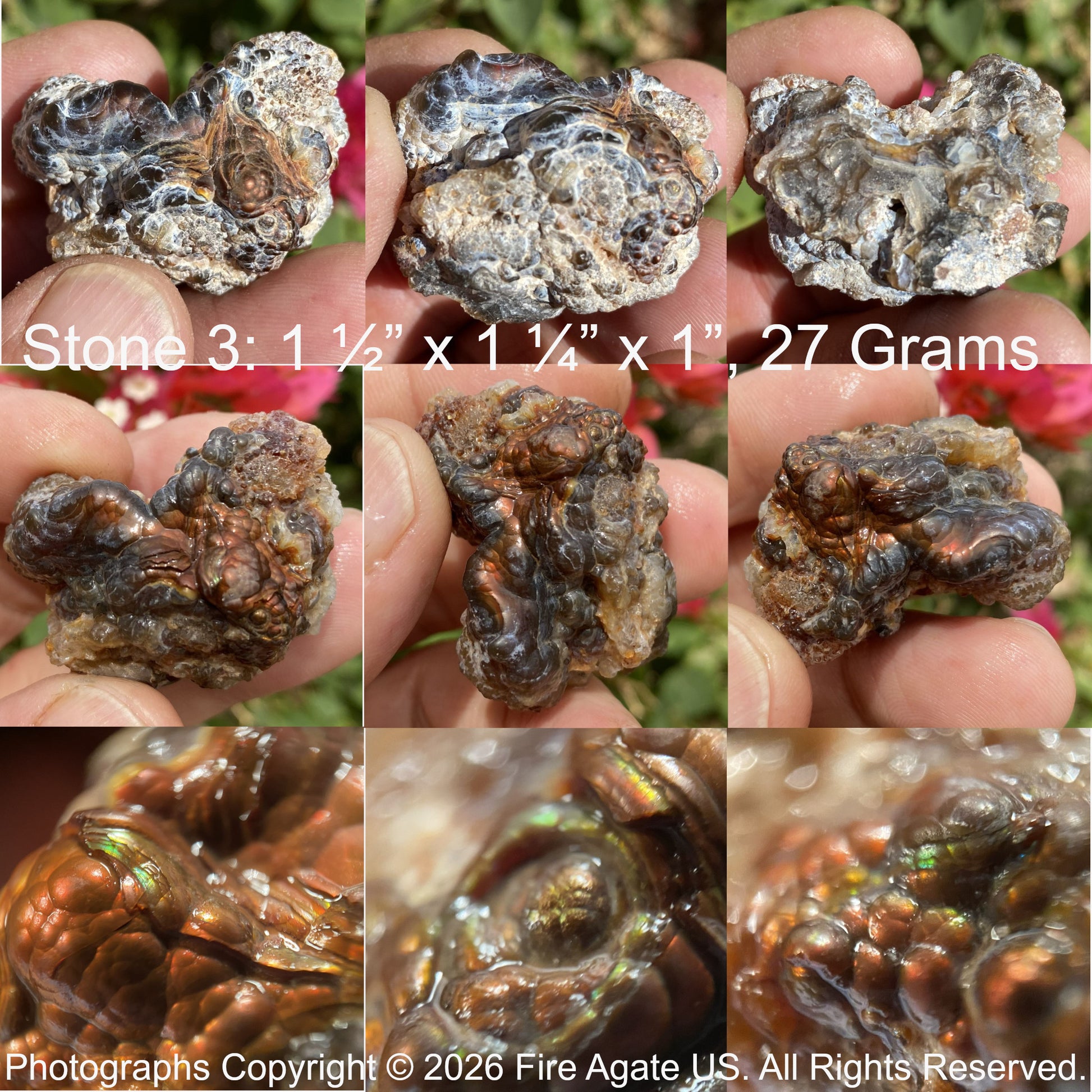 Collage of an Aguascalientes Mexico fire agate held in hands with measurements and weight details.