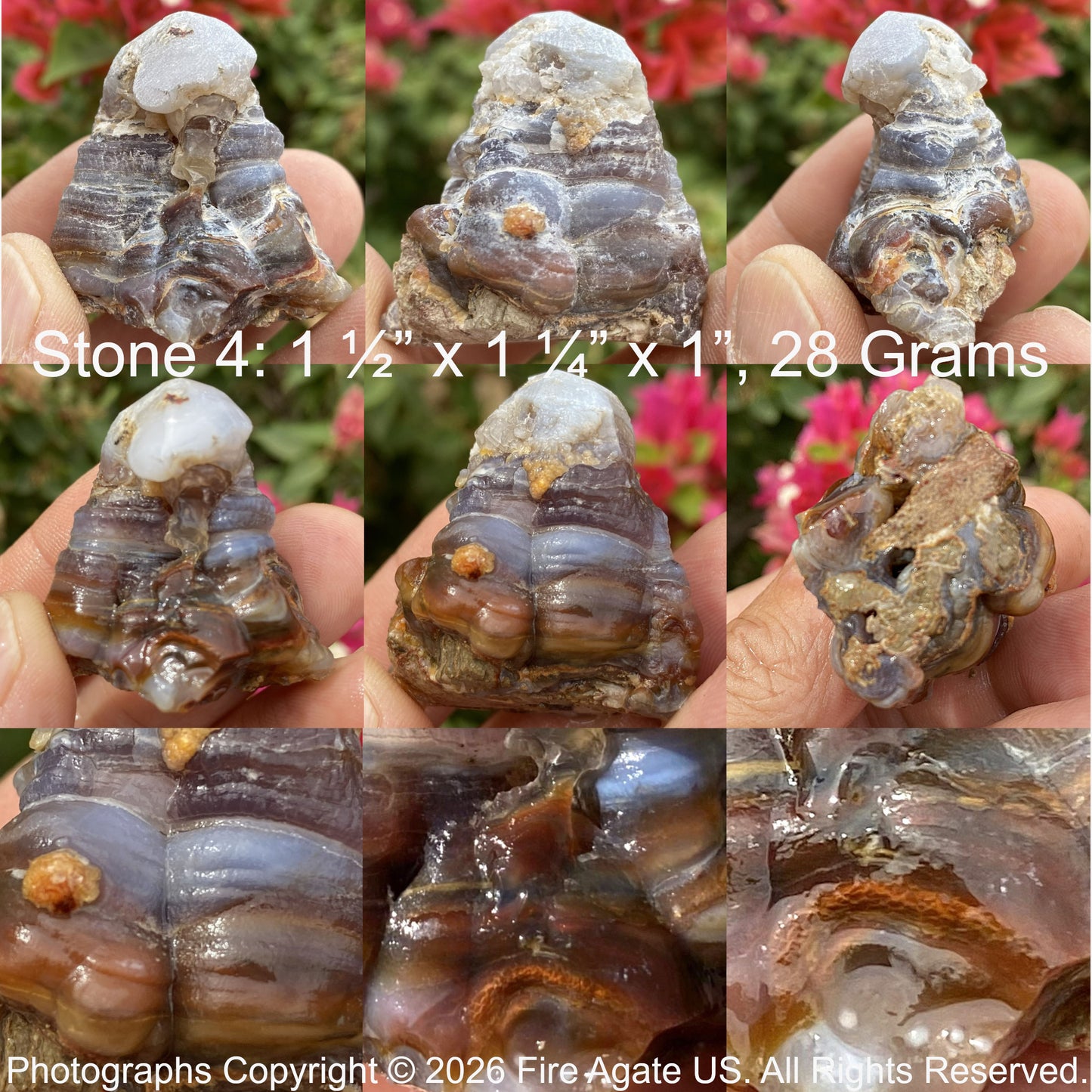 A piece of Aguascalientes Mexico Fire Agate Rough held in hand with measurements and weight displayed.