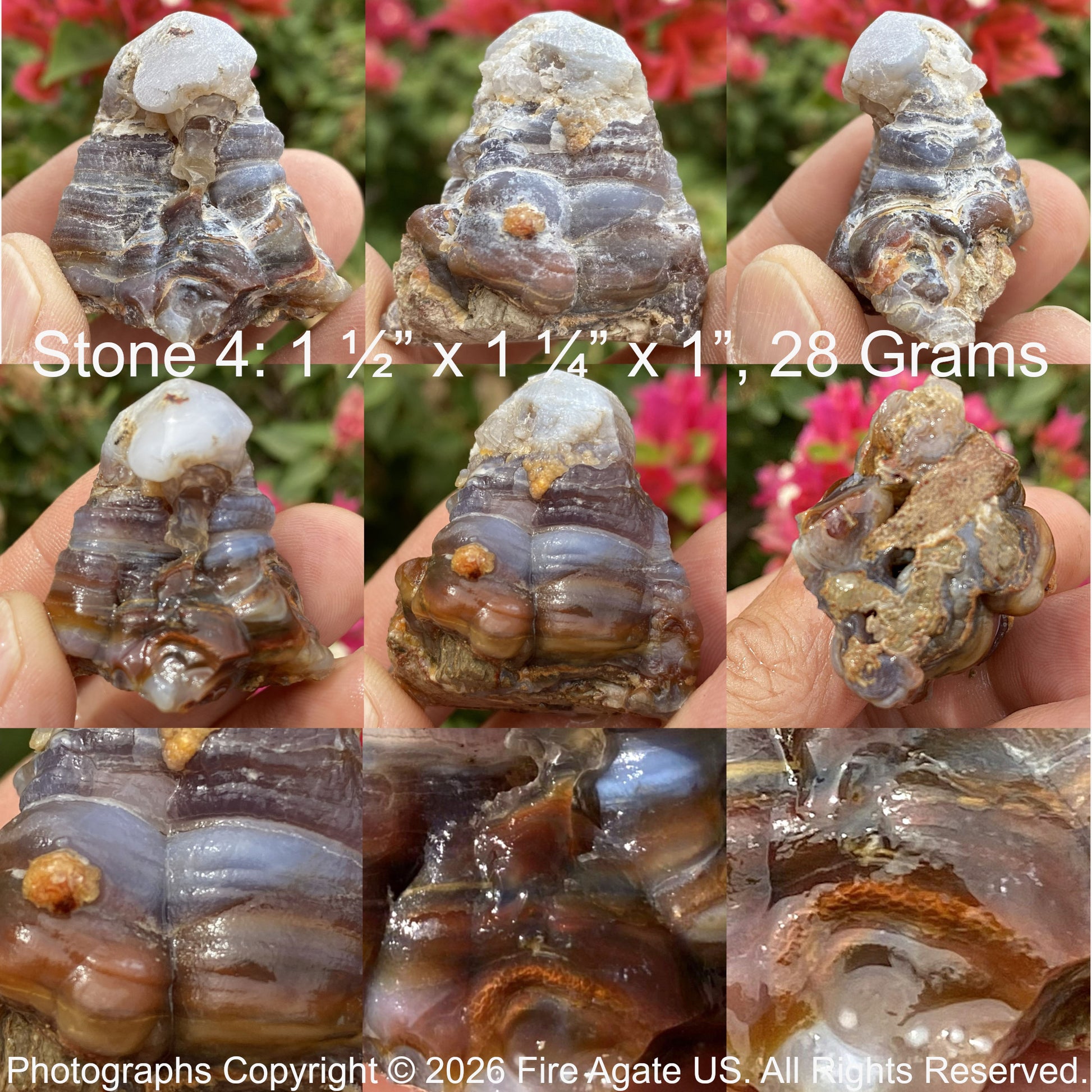 A piece of Aguascalientes Mexico Fire Agate Rough held in hand with measurements and weight displayed.