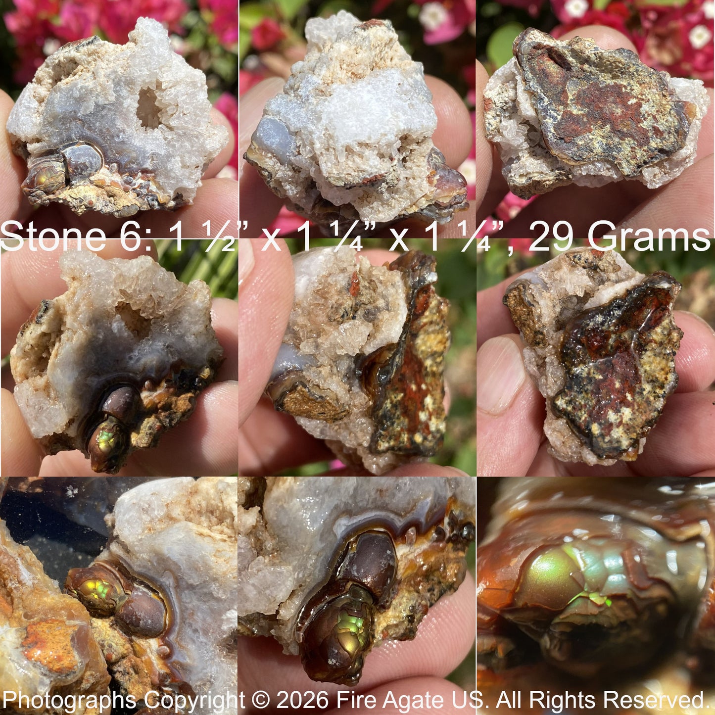 Collage of a piece of fire agate rough from Aguascalientes Mexico held in hands with text detailing size and weight.