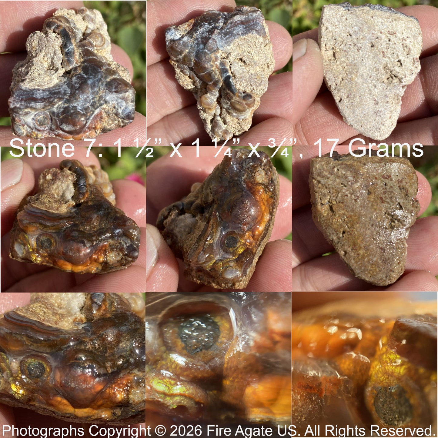 Collage of high grade piece of fire agate rough held in hands with measurements and weight details.