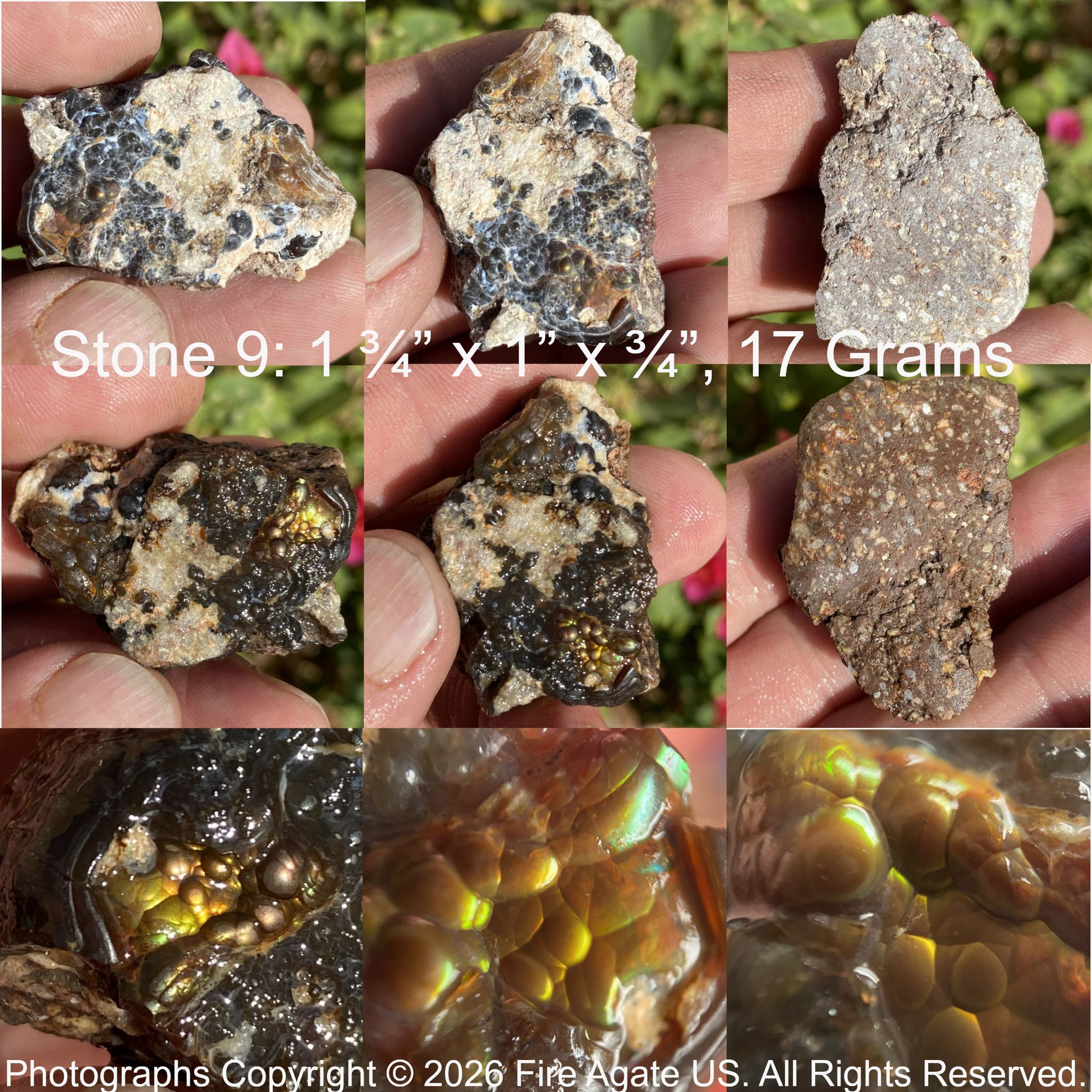 Collage of a piece of uncut fire agate gemstone rough held in hands with measurements and Fire Agate US copyright notice.