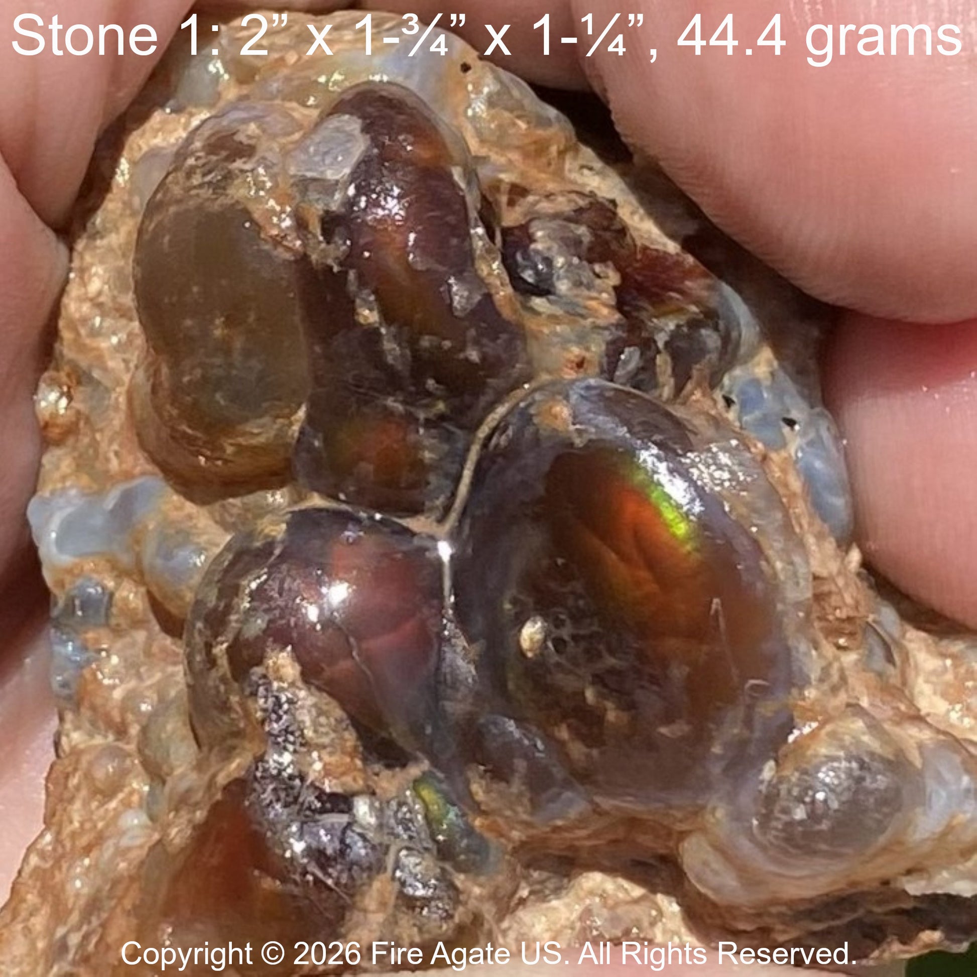 A hand holding a rough fire agate stone specimen with multiple rounded, glossy brown and amber gemstone clusters set in a tan matrix. White text at the top reads 'Stone 1 2" x 1-3/4" x 1-1/4", 44.4 grams'