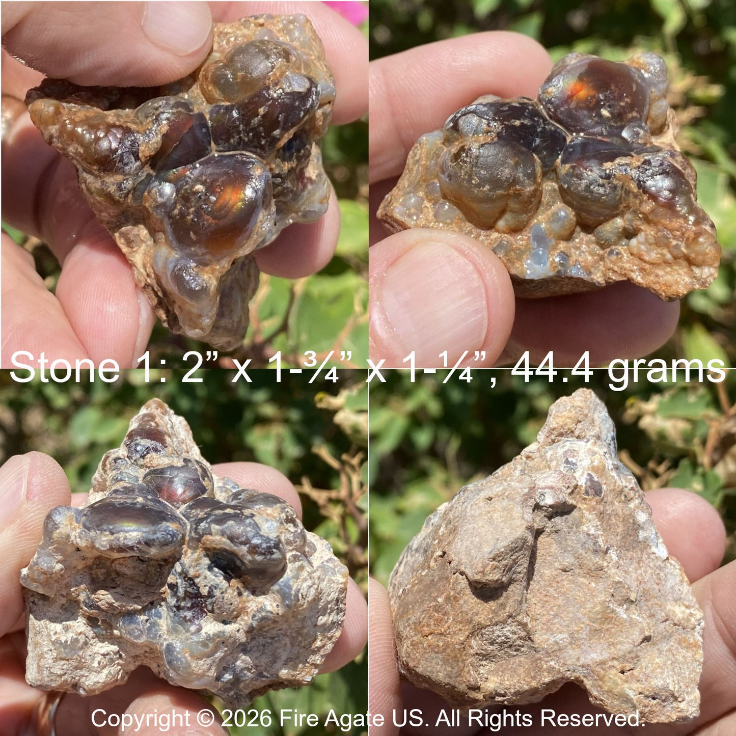 Four-panel product photo showing a fire agate rough mineral specimen held in a person's hand outdoors. The specimen consists of several dark, glassy, bubble like stones set in tan and gray rock.