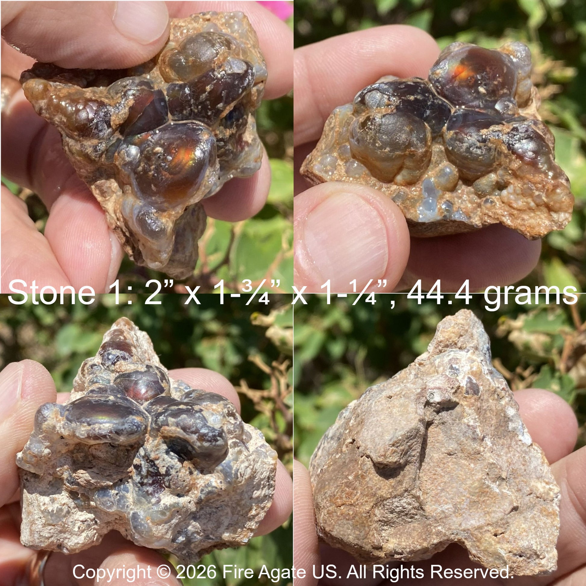 Four-panel product photo showing a fire agate rough mineral specimen held in a person's hand outdoors. The specimen consists of several dark, glassy, bubble like stones set in tan and gray rock.