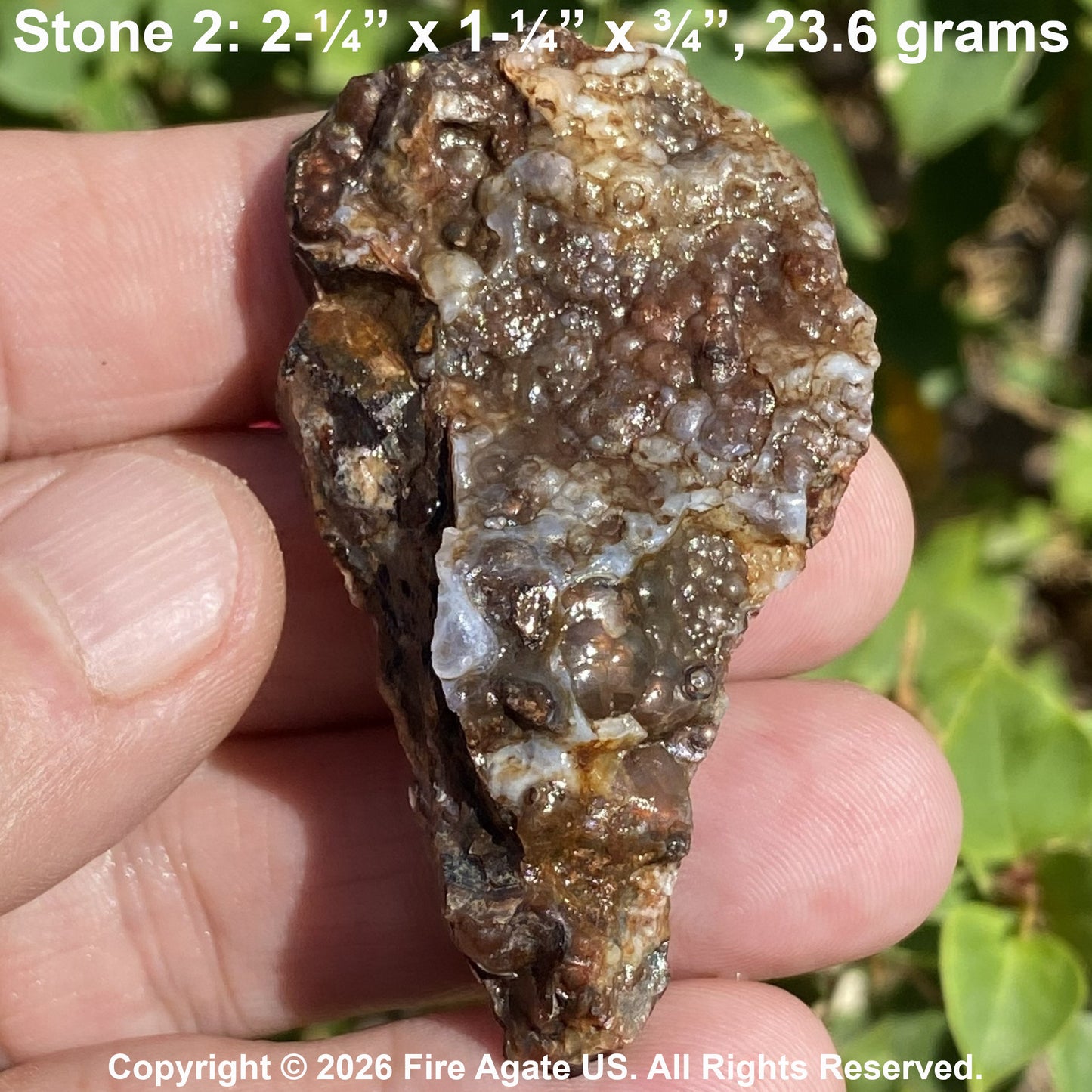 A hand holding a rough agate stone specimen outdoors, with text at the top reading 'Stone 2: 2-1/4" x 1-1/4" x 3-1/4", 23.6 grams' and a copyright notice at the bottom.