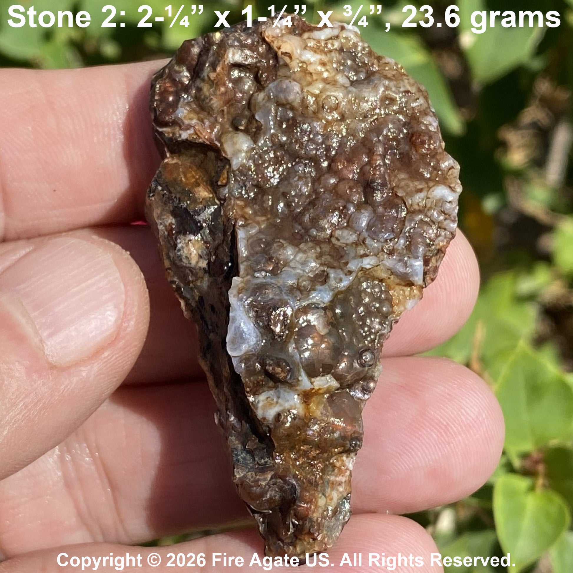 A hand holding a rough agate stone specimen outdoors, with text at the top reading 'Stone 2: 2-1/4" x 1-1/4" x 3-1/4", 23.6 grams' and a copyright notice at the bottom.