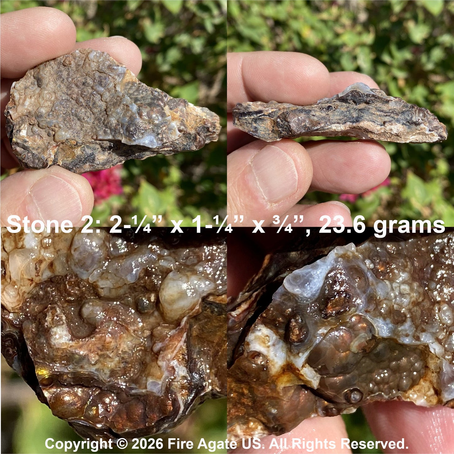 Two close up views of a hand holding a rough agate stone specimen outdoors, with text reading 'Stone 2: 2-1/4" x 1-1/4" x 3/4", 23.6 grams' and a copyright notice for Fire Agate US.