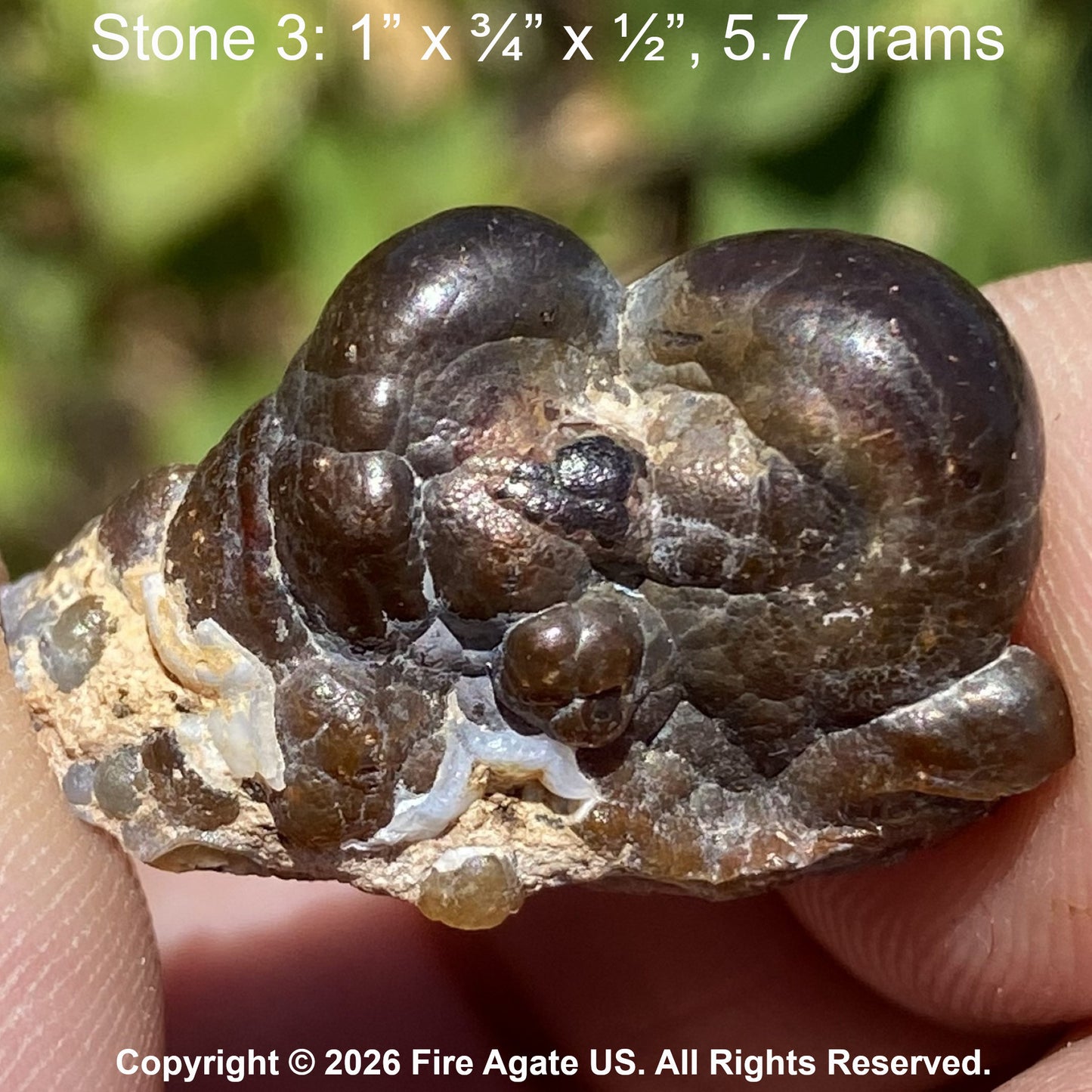 A hand holds an uncut fire agate stone specimen with a rough matrix base. White text at the top reads 'Stone 3: 1" x 3 3/4" x 1 1/2", 5.7 grams'