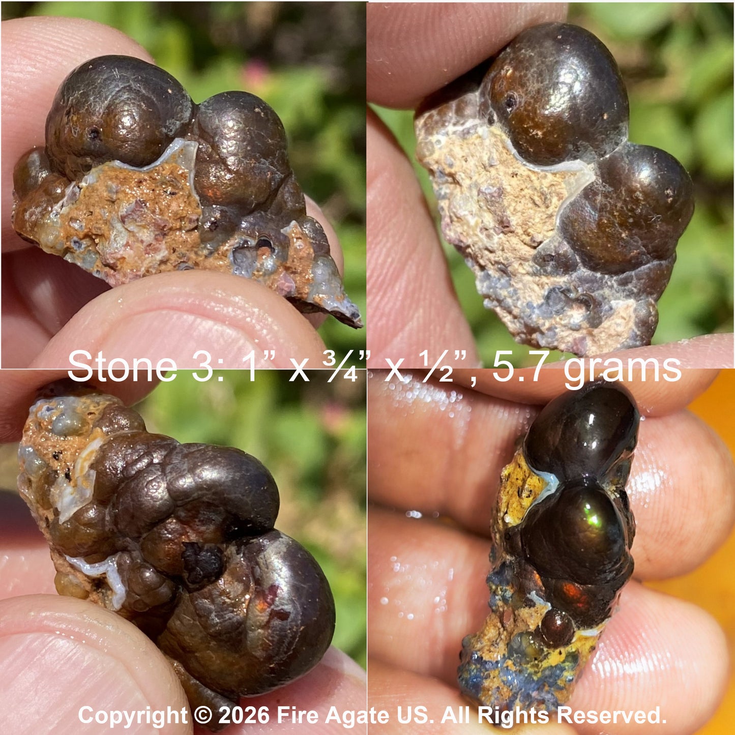 Four panel close up of a person holding a small rough mineral or agate specimen with three rounded dark metallic looking nodules on a tan matrix.