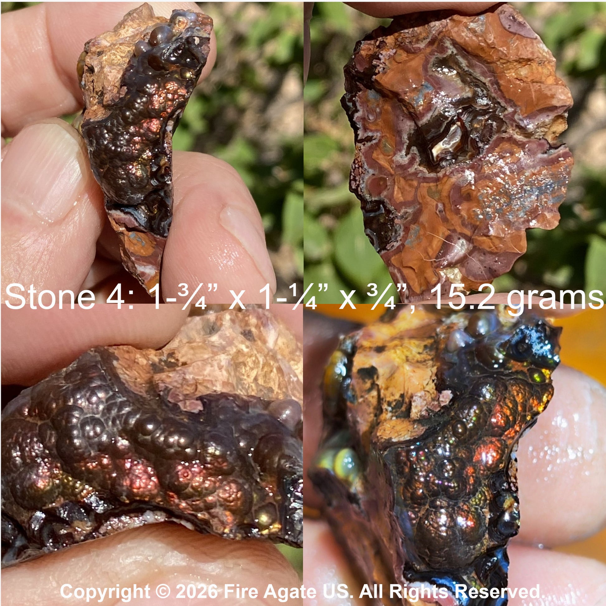 Four close-up views of a fire agate rough mineral being held in a person's hand outdoors. The specimen shows glossy black, coppery brown, and iridescent metallic areas.