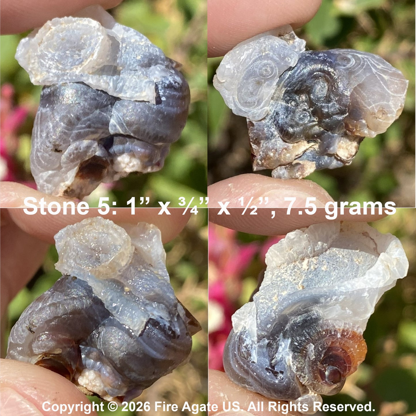 Four close-up views of a hand holding a raw agate stone specimen outdoors, showing translucent gray-blue crystalline structure with some darker areas and a small amber-brown inclusion. White text across the center reads 'Stone 5: 1" x 3/4" x 1/2", 7.5 grams'