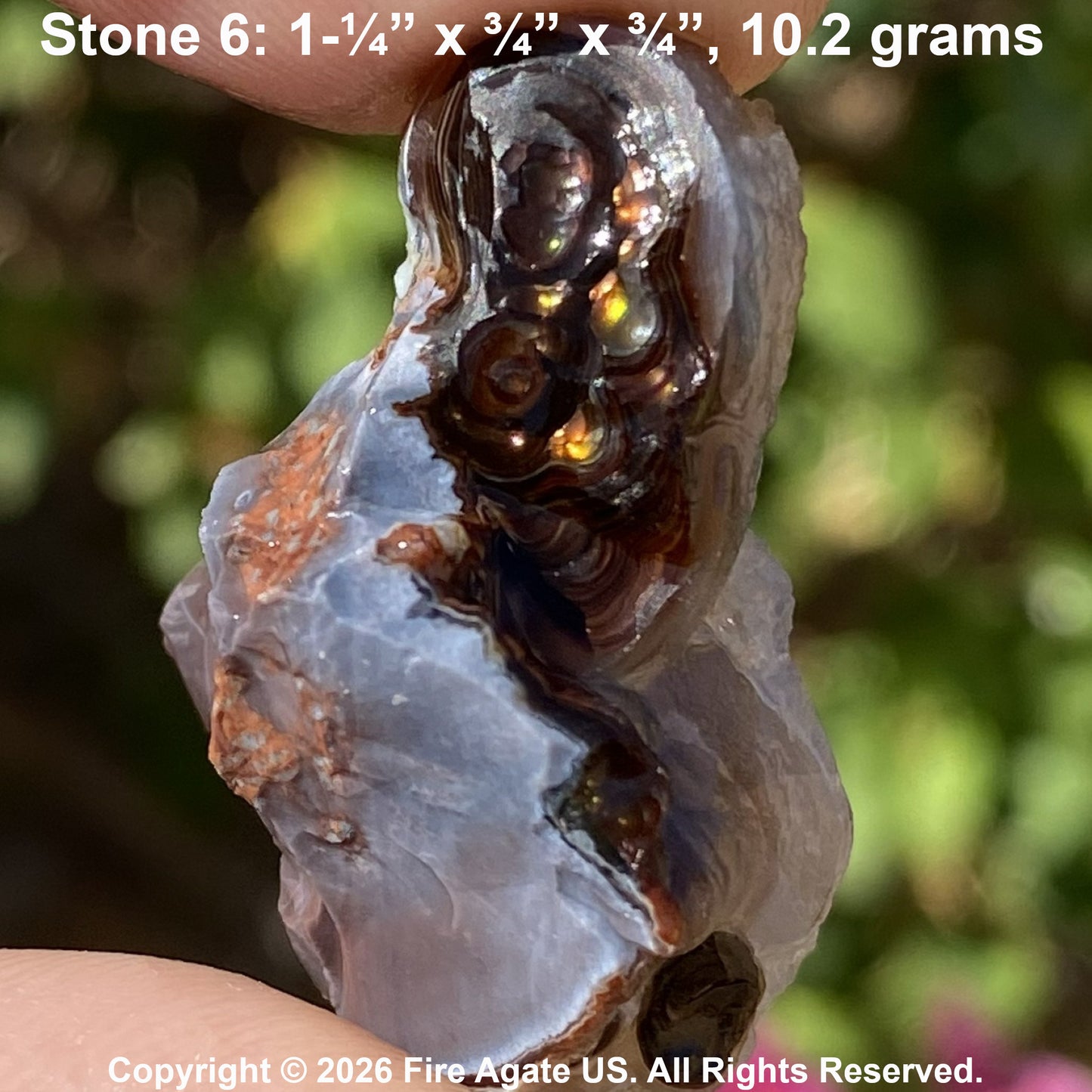 A hand holds an uncut fire agate stone specimen outdoors, showing layered bands of translucent gray-blue, dark brown, and amber-gold. White text at the top reads 'Stone 6: 1-1/4" x 3/4" x 3/4", 10.2 grams'.