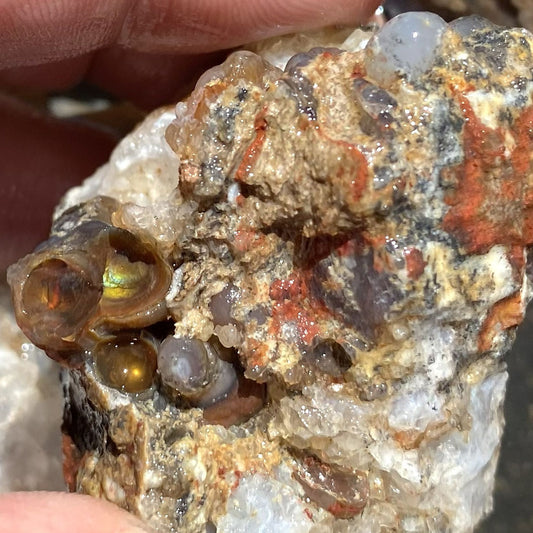 A close-up of a fire agate specimen being held by fingers, showing a rough crystalline rock with translucent white quartz, orange-brown matrix, dark gray areas, and a small iridescent amber bubble gem.