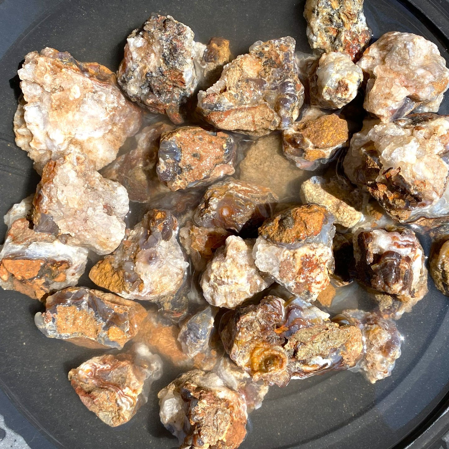 A group of rough, raw fire agate mineral specimens and crystals with earthy orange, brown, beige, and white textures, partially submerged in water inside a dark gray circular dish.