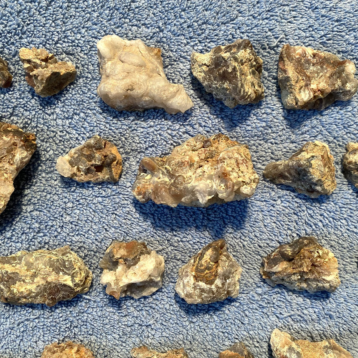 Several rough, irregularly shaped pieces of natural stone or mineral with tan, brown, and off-white tones arranged on a textured blue fabric background.