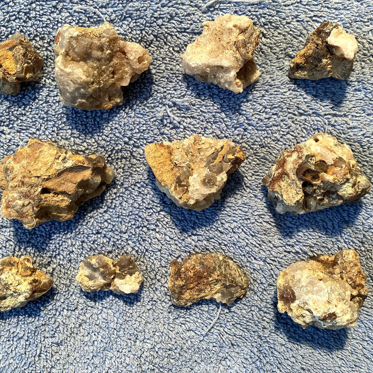 Nine rough, natural-looking mineral or stone specimens with earthy brown, tan, and cream tones arranged on a textured blue towel.