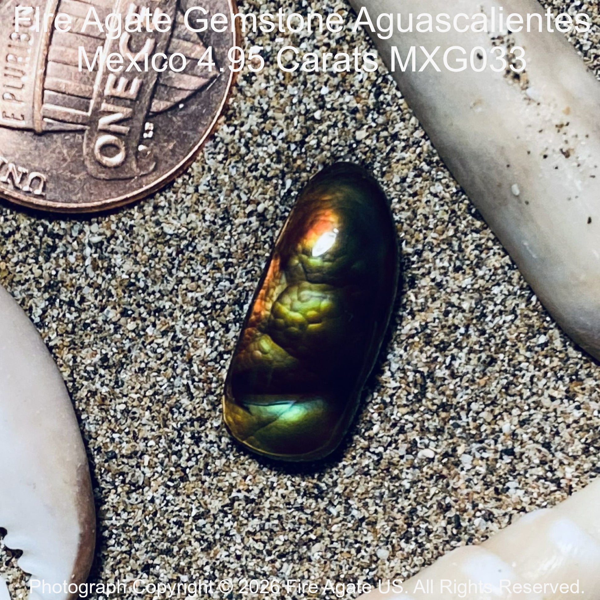 An Aguascalientes Mexico fire agate gemstone with a green and gold iridescent finish, shown on sand next to a US penny for scale and white shell fragments.