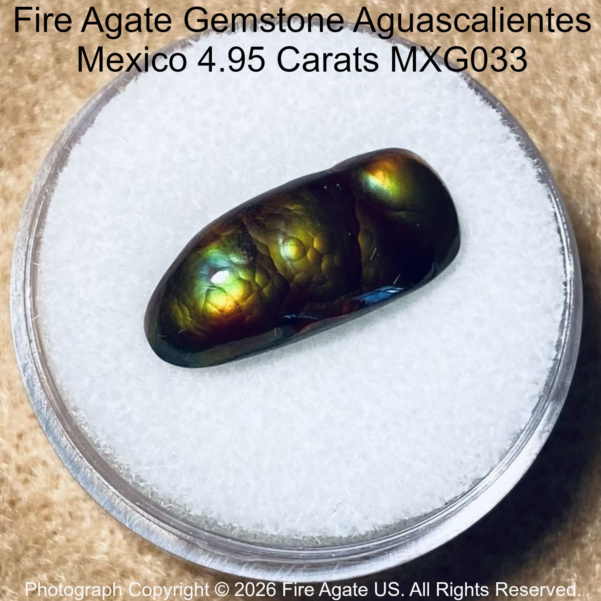 A polished fire agate gemstone with iridescent green, gold, and blue flashes, displayed on white foam inside a clear round dish.