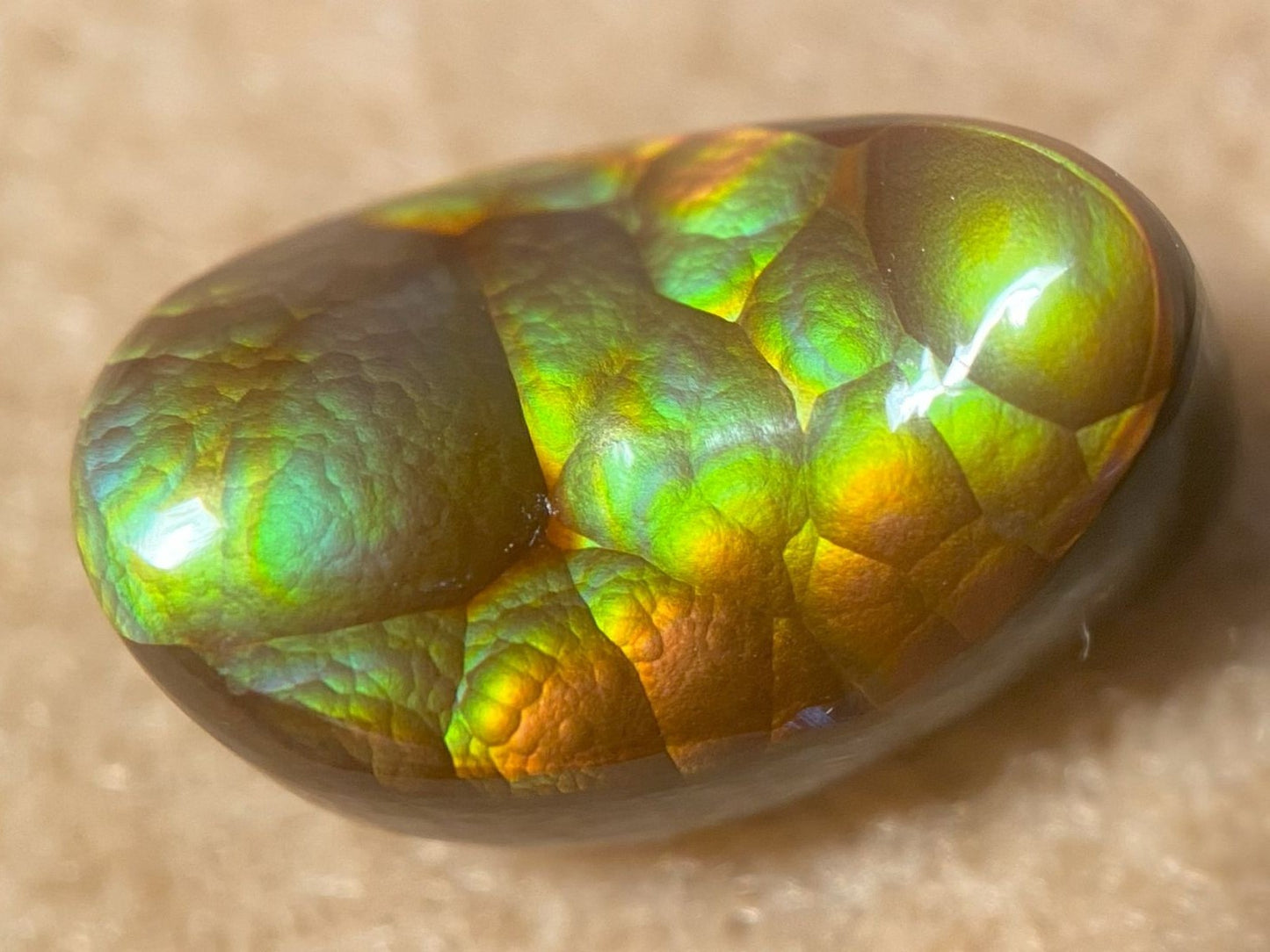 Greean and orange Aguascalientes pear shaped fire agate cabochon