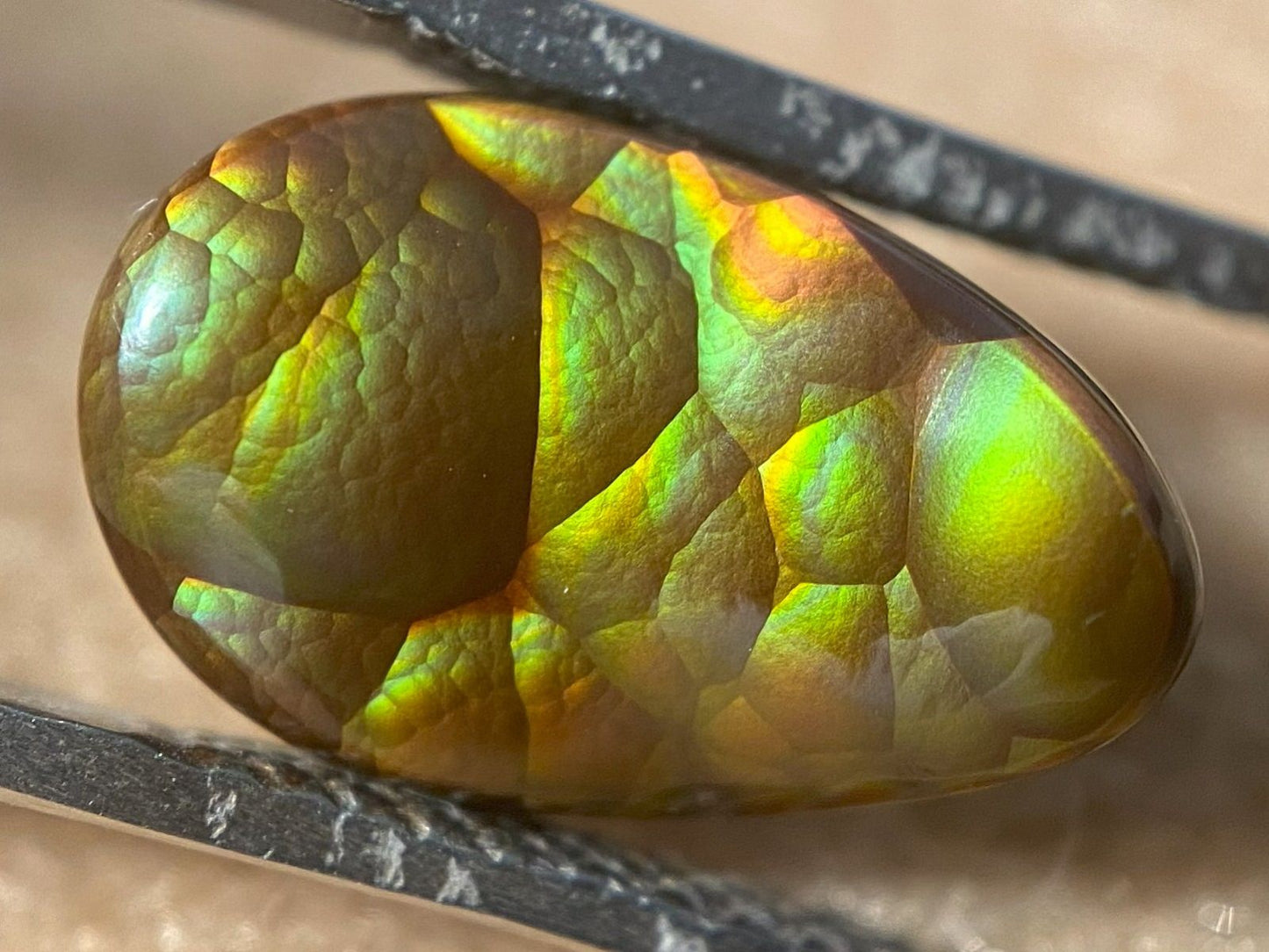 Colorful Aguascalientes pear shaped fire agate gemstone being held in tweasers