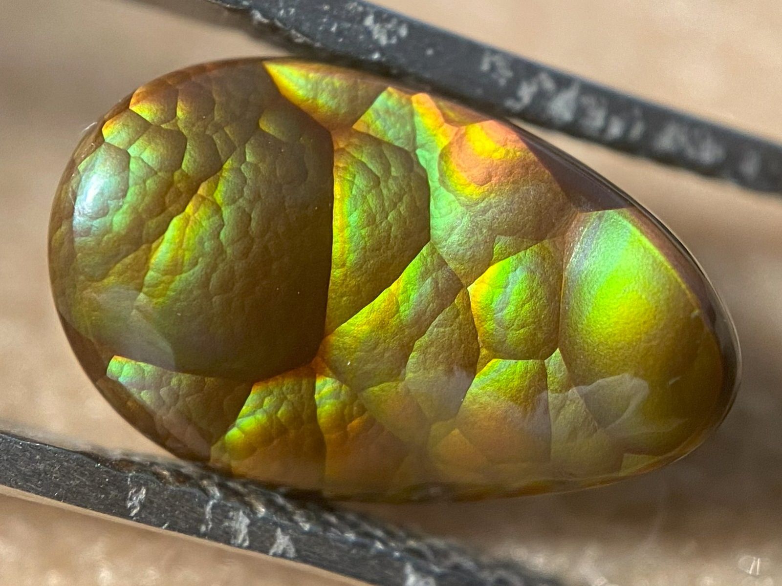 Colorful Aguascalientes pear shaped fire agate gemstone being held in tweasers