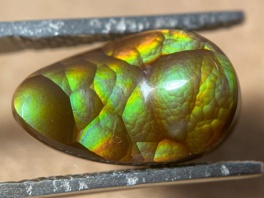 Aguascalientes pear shaped fire agate cabochon held in tweasers