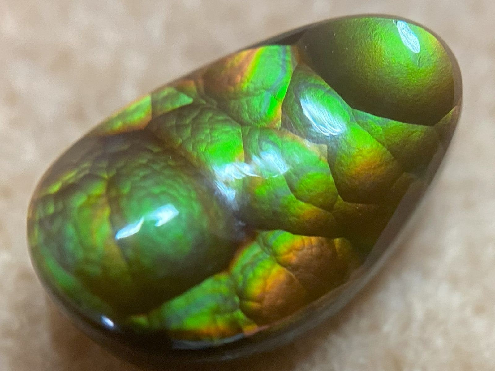 A bright green and orange high quality Aguascalientes fire agate gemstone