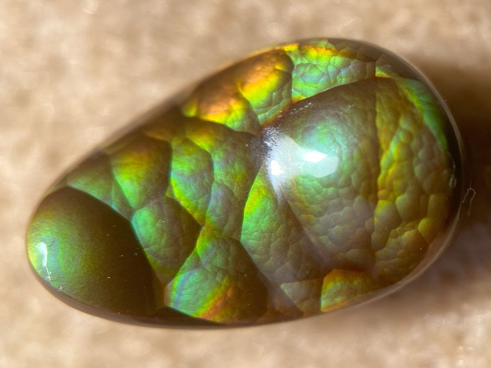 Multicolored stone with iridescent patterns on a beige background