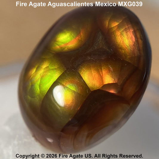 A polished Fire Agate gemstone with a rounded shape, displaying vibrant iridescent flashes of green, yellow, orange, and brown on a neutral light background. Text overlays identify the stone as 'Fire Agate Aguascalientes Mexico MXG039' and include a copyright notice for 'Fire Agate US'.