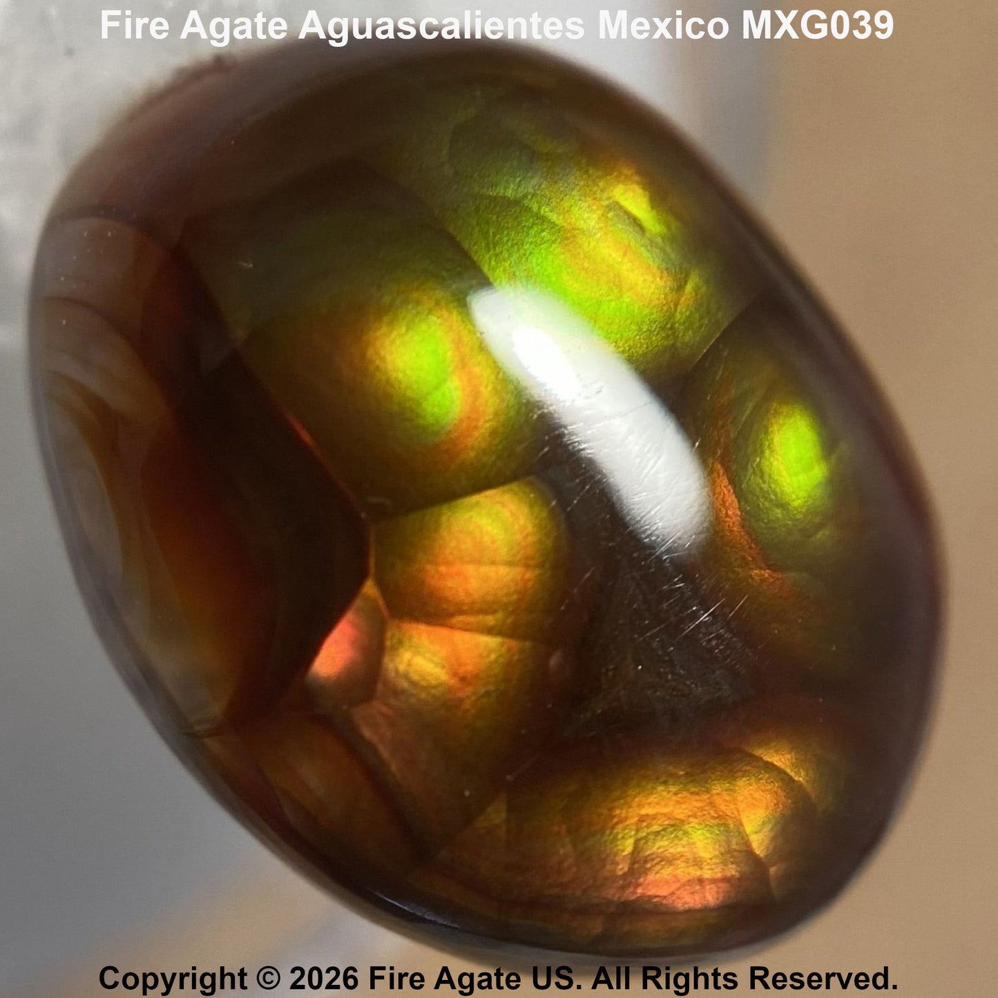 A polished Fire Agate cabochon gemstone from Mexico, displaying a rich play-of-color with shimmering green, gold, orange, and deep brown hues under light. The stone is photographed close-up against a neutral beige background, with text overlays identifying the variety and a copyright notice.