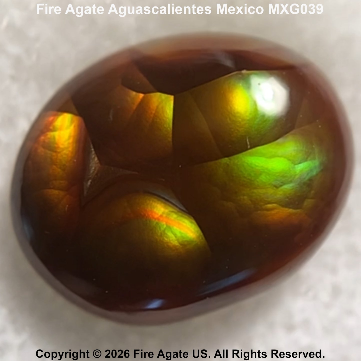 A polished oval Fire Agate gemstone with a deep reddish-brown base and vivid green, yellow, and orange iridescent flashes, shown on a light textured background with text identifying the variety and code.