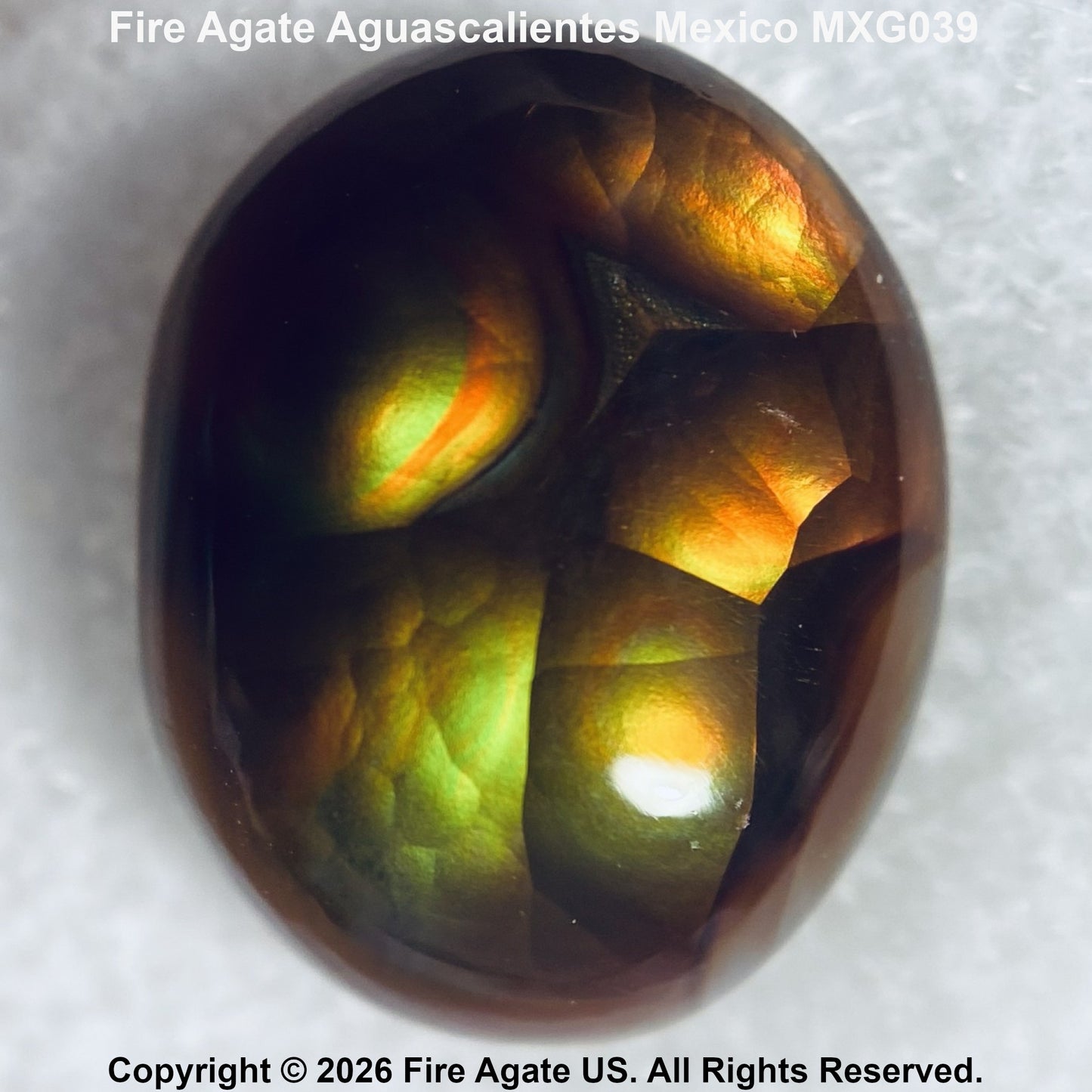 A polished cabochon Fire Agate gemstone with a dark brown base and vibrant green, yellow, and orange iridescent flashes, shown on a textured white background with text overlays.