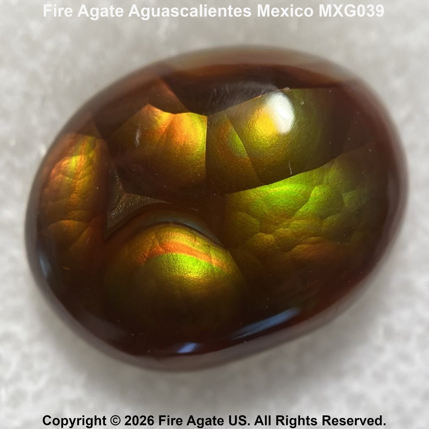 A polished cabochon Fire Agate gemstone from Mexico, displaying a rich color-changing play-of-color with vibrant green, gold, orange, and deep brown tones on a textured white background.