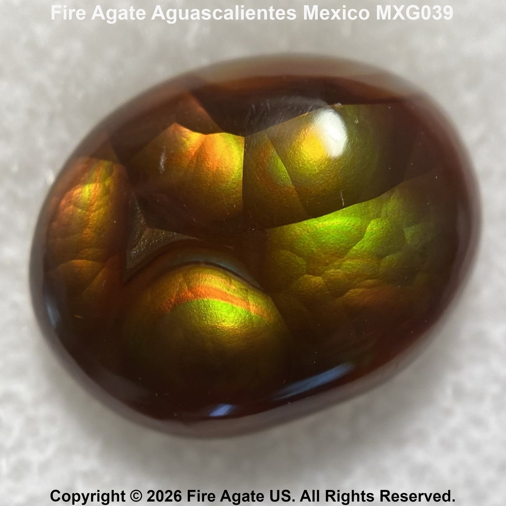A polished cabochon Fire Agate gemstone from Mexico, displaying a rich color-changing play-of-color with vibrant green, gold, orange, and deep brown tones on a textured white background.