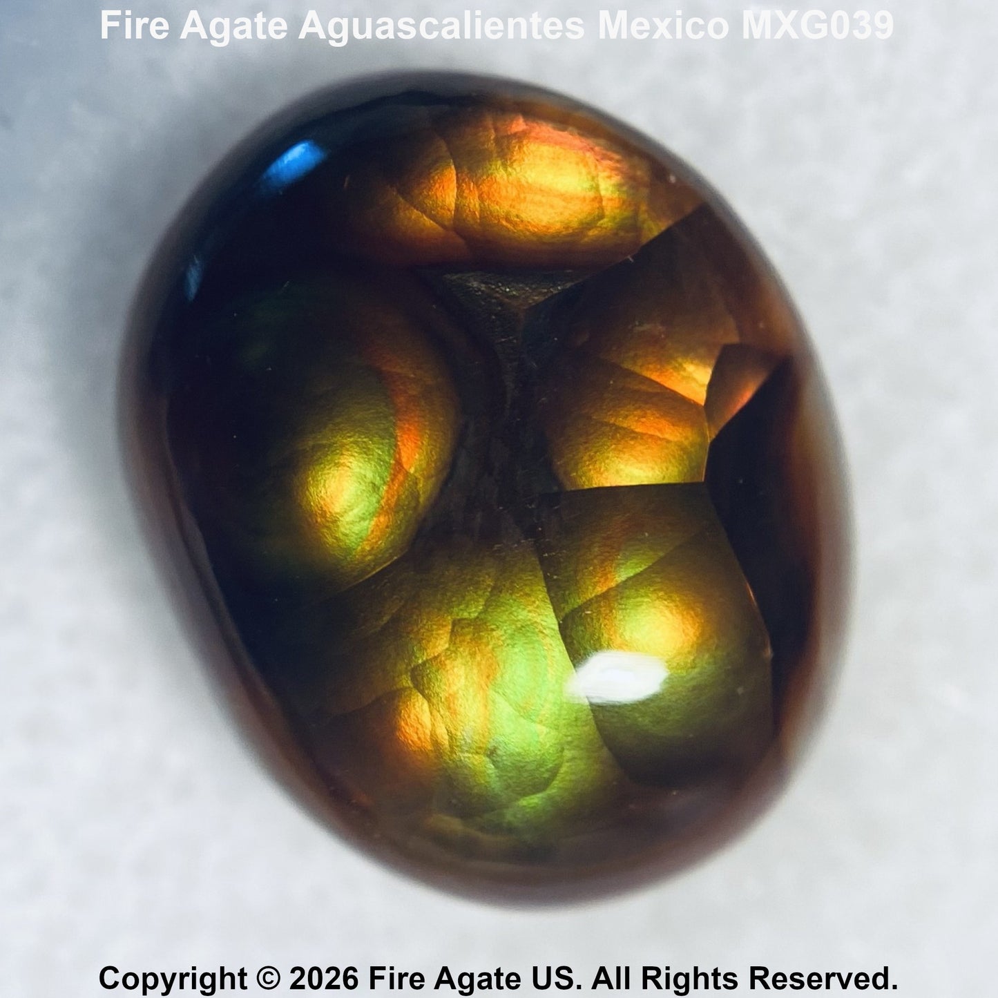 A polished cabochon gemstone of Fire Agate (Aguascalientes) showing a rich play-of-color with green, gold, orange, and deep brown tones on a textured white background.