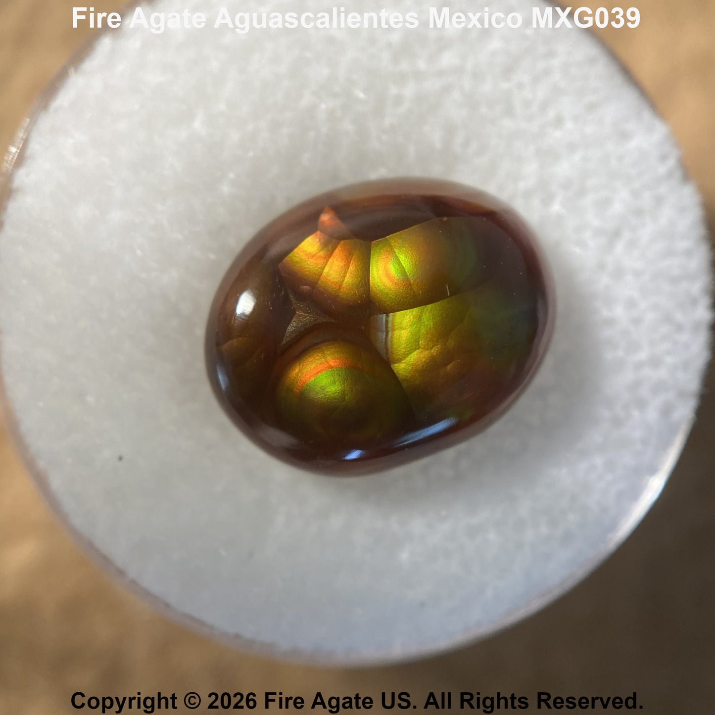 A polished oval fire agate gemstone with vibrant green, yellow, and orange iridescent play-of-color, displayed on a white foam mount. Text overlays identify the specimen as Fire Agate Aguascalientes Mexico MXG039.