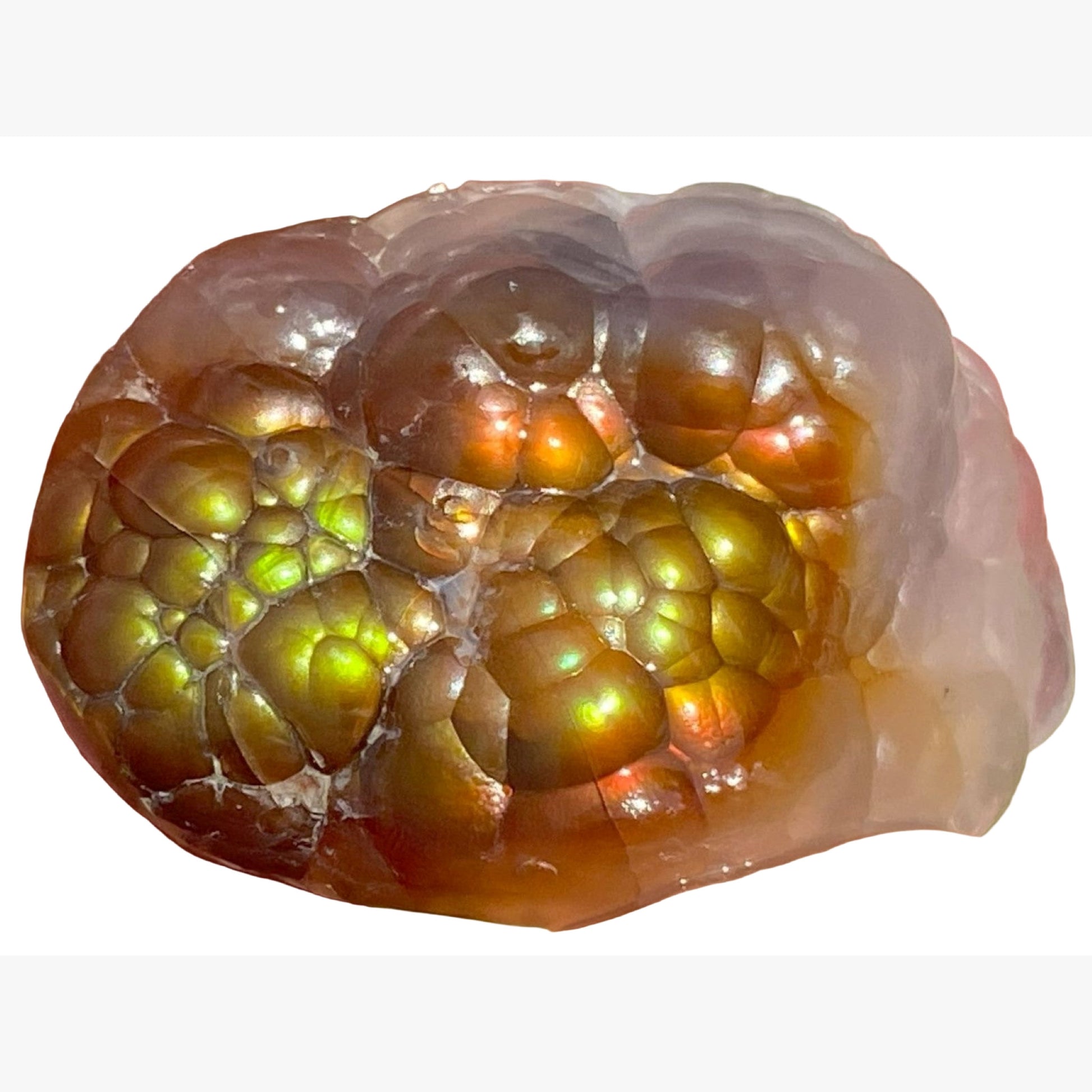 Close-up of an Aguascalientes Fire Agate Gemstone Natural Mineral Specimen on white background