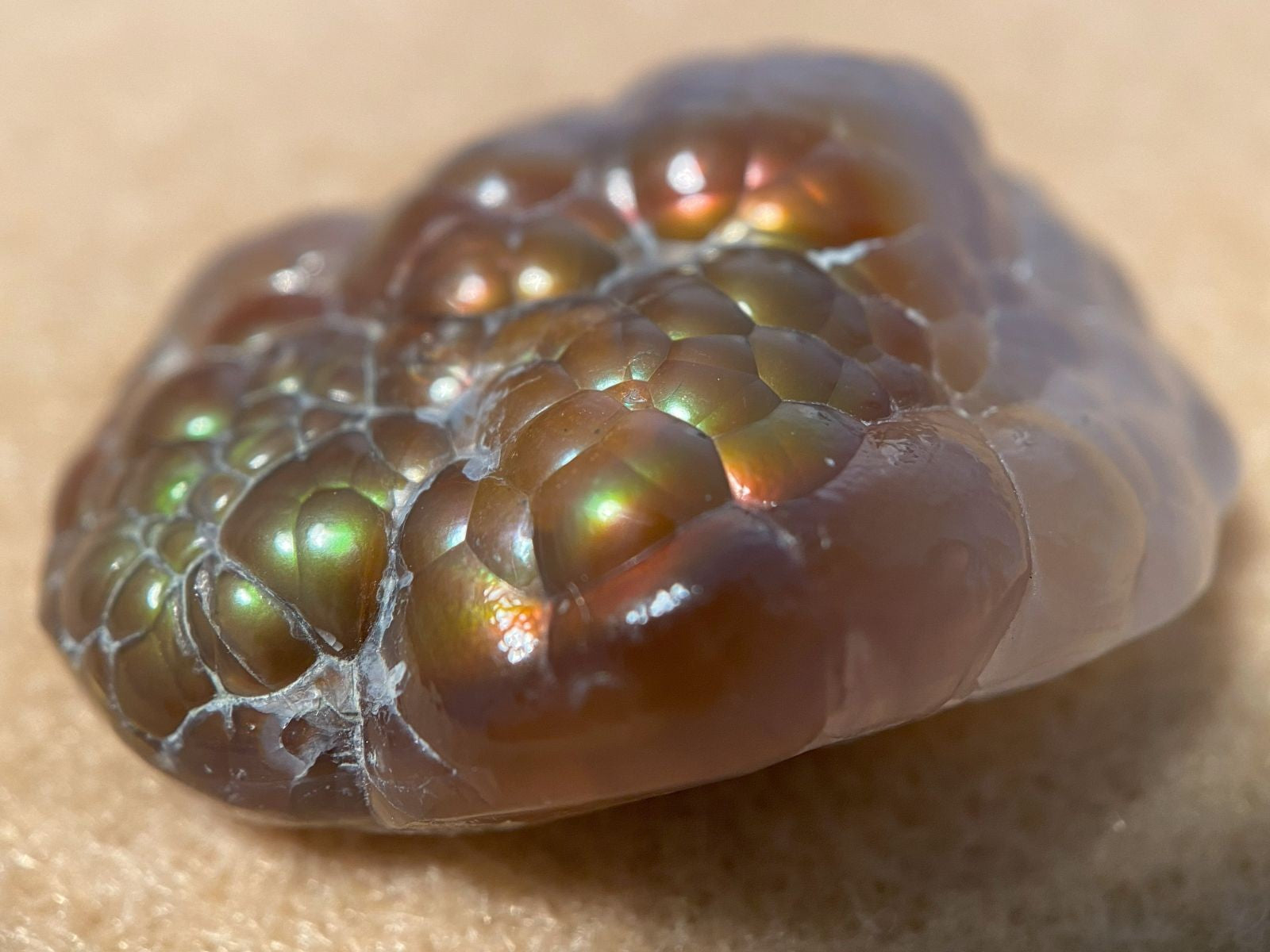 Close-up of a unpolished Mexican fire agate stone with a beige background
