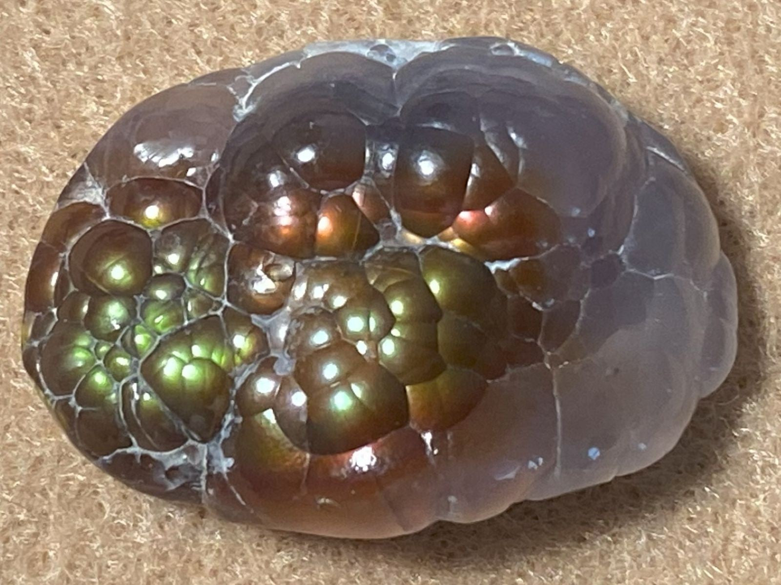 Close-up of a unpolished fire agate stone with concentric circles on a beige background
