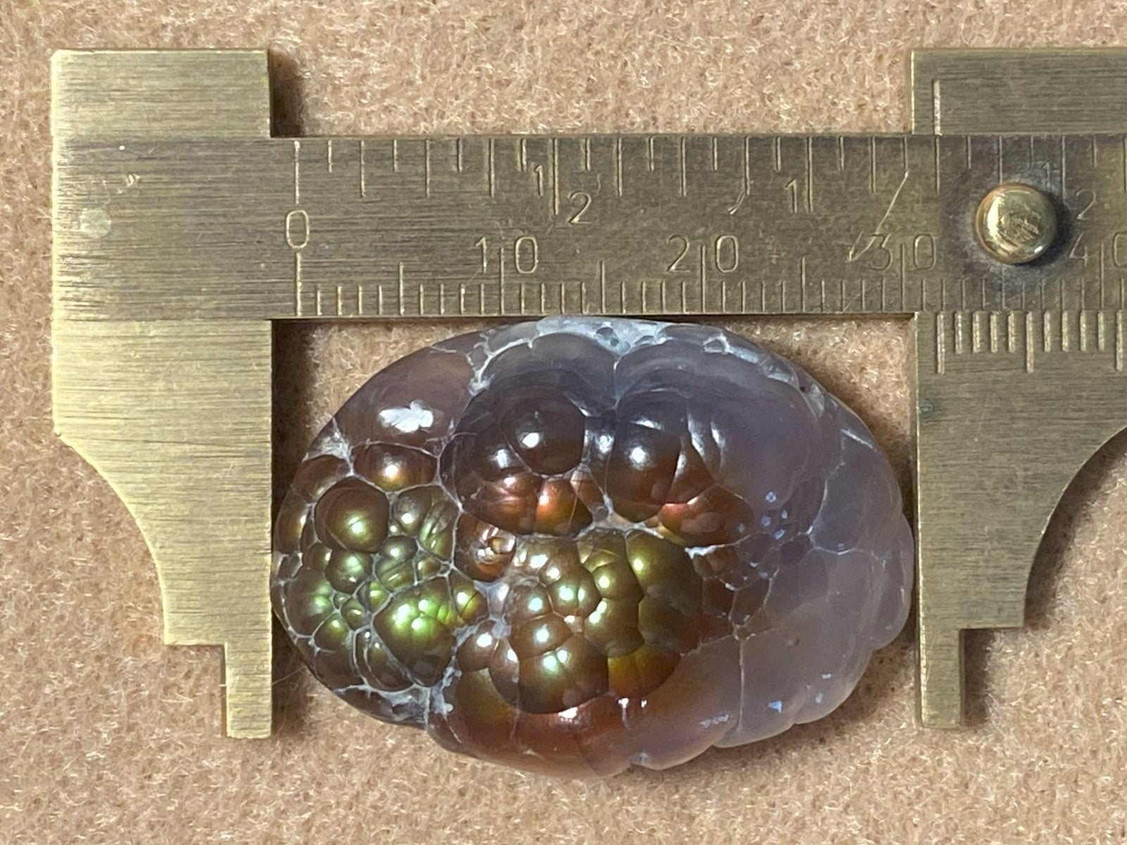 Aguascalientes Fire Agate Gemstone Natural Mineral Specimen with a ruler for scale on a beige background
