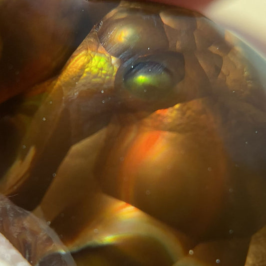 Close-up of a Aguascalientes Fire Agate Creature Carving Charm Specimen 