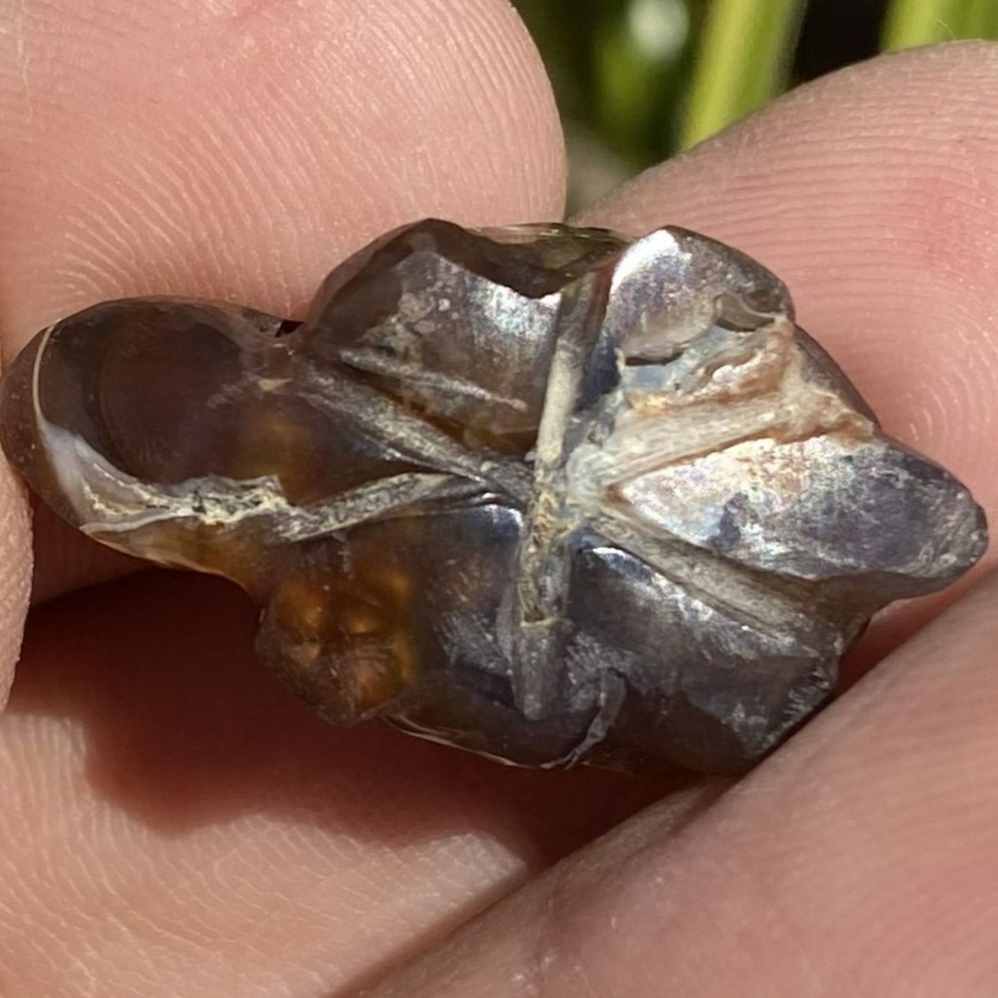 Close-up of a person holding a star-shaped crystal or mineral.