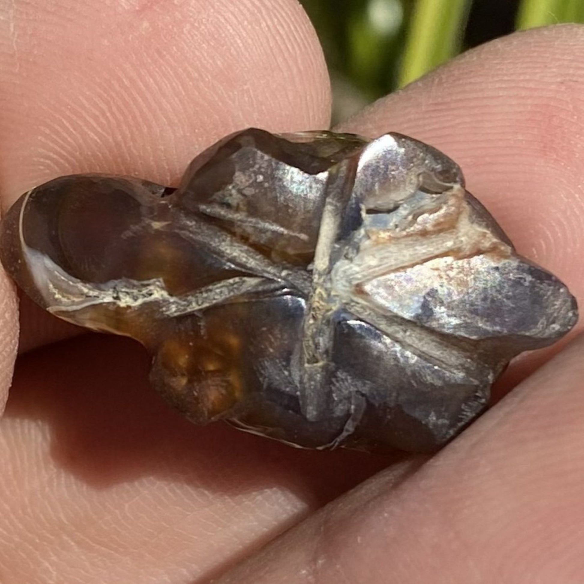Close-up of a person holding a star-shaped crystal or mineral.