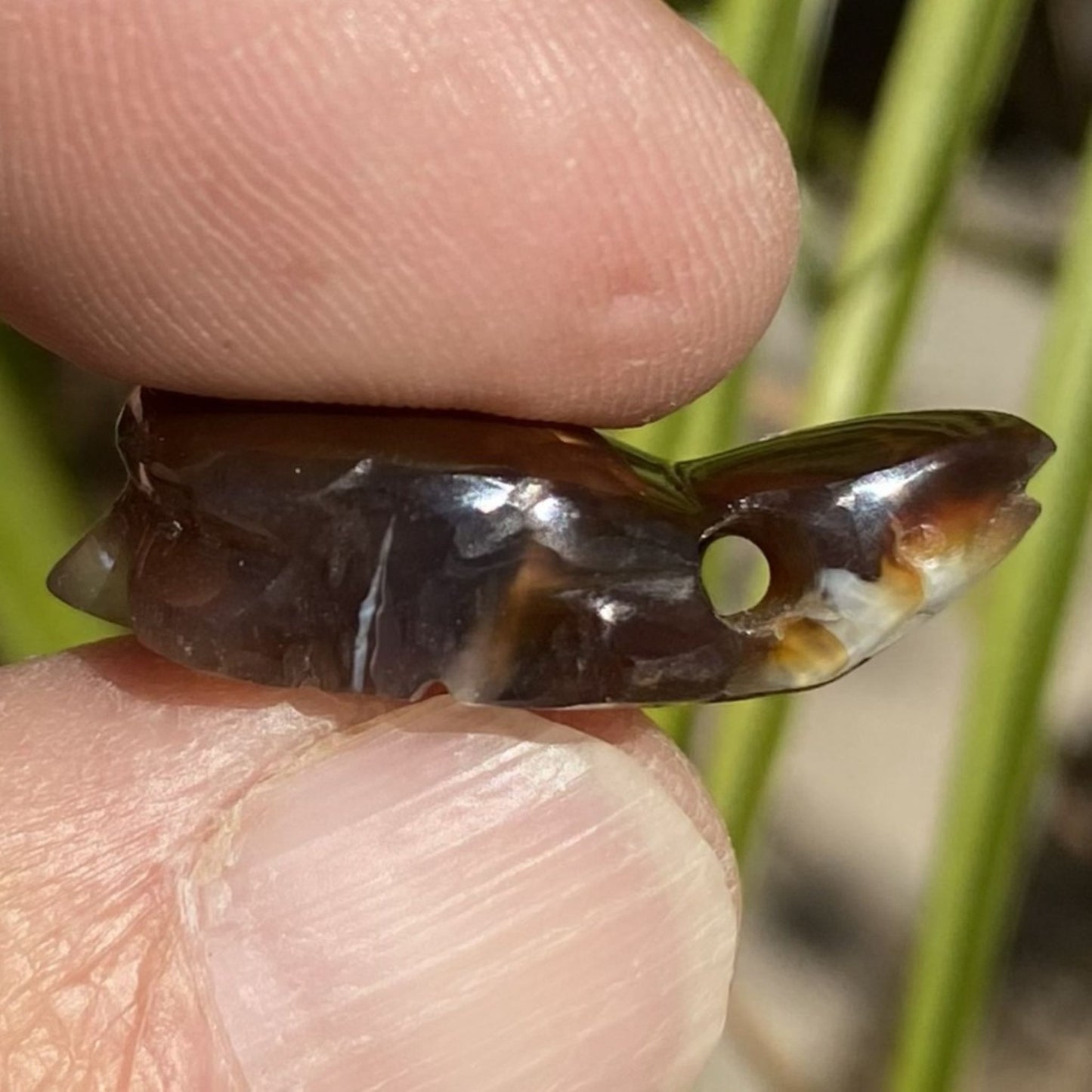 Close-up of a Aguascalientes Fire Agate Creature Carving Charm Specimen held between two fingers with a blurred natural background